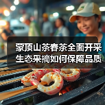 蒙顶山茶春茶全面开采 生态采摘如何保障品质(图1) 蒙顶山茶春茶全面开采 生态采摘如何保障品质(图1)