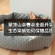 蒙顶山茶春茶全面开采 生态采摘如何保障品质(图4) 蒙顶山茶春茶全面开采 生态采摘如何保障品质(图4)