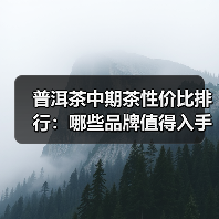 普洱茶中期茶性价比排行：哪些品牌值得入手？（图1）
