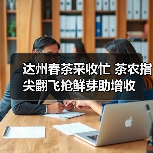 达州春茶采收忙 茶农指尖翻飞抢鲜芽助增收(图4) 达州春茶采收忙 茶农指尖翻飞抢鲜芽助增收(图4)
