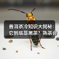 普洱茶冷知识大揭秘:它到底是黑茶?熟茶会生金花?纯料真的更好吗?(图1) 普洱茶冷知识大揭秘:它到底是黑茶?熟茶会生金花?纯料真的更好吗?(图1)