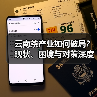云南茶产业如何破局?现状、困境与对策深度解析(图2) 云南茶产业如何破局?现状、困境与对策深度解析(图2)