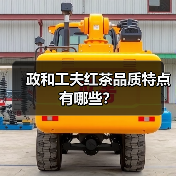 政和工夫红茶品质特点有哪些?(图1) 政和工夫红茶品质特点有哪些?(图1)
