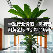 重塑行业价值,高端普洱黄金标准引领品质新标杆(图4) 重塑行业价值,高端普洱黄金标准引领品质新标杆(图4)