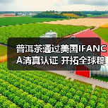 普洱茶通过美国IFANCA清真认证 开拓全球穆斯林市场(图2) 普洱茶通过美国IFANCA清真认证 开拓全球穆斯林市场(图2)