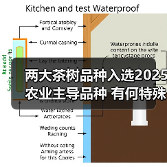 两大茶树品种入选2025农业主导品种 有何特殊优势?(图4) 两大茶树品种入选2025农业主导品种 有何特殊优势?(图4)