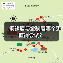 铜骏眉与金骏眉哪个更值得尝试?(图2) 铜骏眉与金骏眉哪个更值得尝试?(图2)