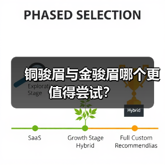 铜骏眉与金骏眉哪个更值得尝试?(图4) 铜骏眉与金骏眉哪个更值得尝试?(图4)