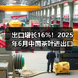 出口增长16%!2025年6月中国茶叶进出口数据揭秘(图1) 出口增长16%!2025年6月中国茶叶进出口数据揭秘(图1)