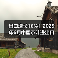 出口增长16%!2025年6月中国茶叶进出口数据揭秘(图3) 出口增长16%!2025年6月中国茶叶进出口数据揭秘(图3)