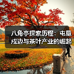 八角亭探索历程:屯垦戍边与茶叶产业的崛起(图4) 八角亭探索历程:屯垦戍边与茶叶产业的崛起(图4)