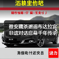 雅安藏茶邂逅布达拉宫 非遗对话启幕千年传承新篇章（图4）