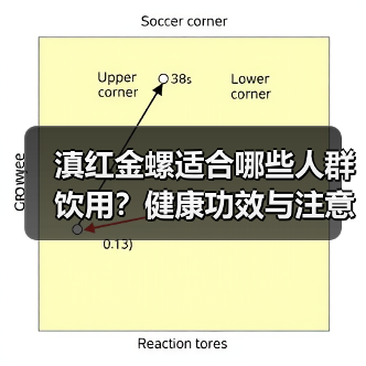 滇红金螺适合哪些人群饮用?健康功效与注意事项全解析(图4) 滇红金螺适合哪些人群饮用?健康功效与注意事项全解析(图4)