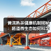 普洱熟茶健康机制揭秘：肠道微生态如何科学调控？（图1）