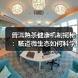 普洱熟茶健康机制揭秘：肠道微生态如何科学调控？（图3）