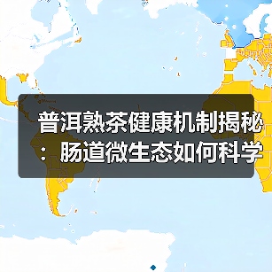 普洱熟茶健康机制揭秘：肠道微生态如何科学调控？（图4）
