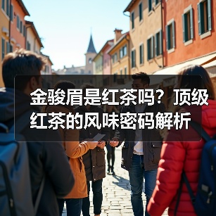 金骏眉是红茶吗?顶级红茶的风味密码解析(图1) 金骏眉是红茶吗?顶级红茶的风味密码解析(图1)