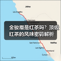 金骏眉是红茶吗?顶级红茶的风味密码解析(图4) 金骏眉是红茶吗?顶级红茶的风味密码解析(图4)