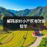 解码茶叶小产区与财富哲学（图4）