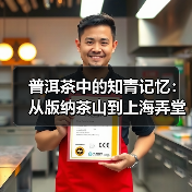 普洱茶中的知青记忆:从版纳茶山到上海弄堂的岁月回响(图1) 普洱茶中的知青记忆:从版纳茶山到上海弄堂的岁月回响(图1)