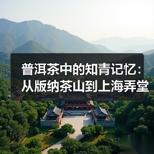 普洱茶中的知青记忆:从版纳茶山到上海弄堂的岁月回响(图2) 普洱茶中的知青记忆:从版纳茶山到上海弄堂的岁月回响(图2)