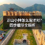 正山小种怎么泡才对？四步细节全解析（图3）