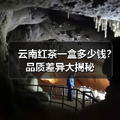 云南红茶一盒多少钱?品质差异大揭秘(图2) 云南红茶一盒多少钱?品质差异大揭秘(图2)