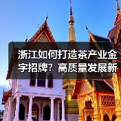 浙江如何打造茶产业金字招牌？高质量发展新举措揭秘（图3）