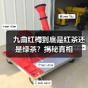 九曲红梅到底是红茶还是绿茶？揭秘真相（图3）