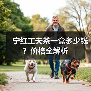 宁红工夫茶一盒多少钱?价格全解析(图1) 宁红工夫茶一盒多少钱?价格全解析(图1)