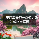 宁红工夫茶一盒多少钱?价格全解析(图3) 宁红工夫茶一盒多少钱?价格全解析(图3)