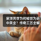 蒙顶黄芽为何被誉为茶中黄金?传奇工艺全解析(图2) 蒙顶黄芽为何被誉为茶中黄金?传奇工艺全解析(图2)
