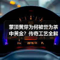 蒙顶黄芽为何被誉为茶中黄金?传奇工艺全解析(图4) 蒙顶黄芽为何被誉为茶中黄金?传奇工艺全解析(图4)