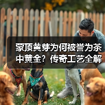 蒙顶黄芽为何被誉为茶中黄金?传奇工艺全解析(图3) 蒙顶黄芽为何被誉为茶中黄金?传奇工艺全解析(图3)