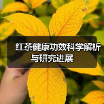 红茶健康功效科学解析与研究进展(图1) 红茶健康功效科学解析与研究进展(图1)
