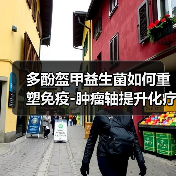 多酚盔甲益生菌如何重塑免疫-肿瘤轴提升化疗效果（图2）