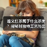 遵义红茶属于什么茶类?揭秘其独特工艺与品质(图3) 遵义红茶属于什么茶类?揭秘其独特工艺与品质(图3)