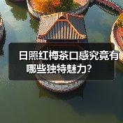 日照红梅茶口感究竟有哪些独特魅力？（图1）