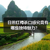 日照红梅茶口感究竟有哪些独特魅力？（图4）