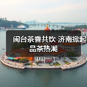 闽台茶香共饮 济南掀起品茶热潮（图2）
