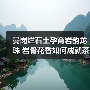 曼岗烂石土孕育岩韵龙珠 岩骨花香如何成就茶中珍品（图4）