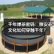 千年绿茶密码:雅安茶文化如何穿越千年?(图2) 千年绿茶密码:雅安茶文化如何穿越千年?(图2)