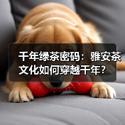 千年绿茶密码:雅安茶文化如何穿越千年?(图3) 千年绿茶密码:雅安茶文化如何穿越千年?(图3)