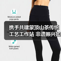 携手共建蒙顶山茶传统工艺工作站 非遗振兴如何破局?(图3) 携手共建蒙顶山茶传统工艺工作站 非遗振兴如何破局?(图3)