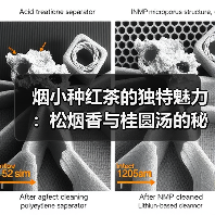 烟小种红茶的独特魅力:松烟香与桂圆汤的秘密(图4) 烟小种红茶的独特魅力:松烟香与桂圆汤的秘密(图4)
