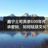 昌宁土司贡茶600年传承密码,如何延续文化精髓?(图3) 昌宁土司贡茶600年传承密码,如何延续文化精髓?(图3)