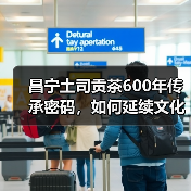 昌宁土司贡茶600年传承密码,如何延续文化精髓?(图4) 昌宁土司贡茶600年传承密码,如何延续文化精髓?(图4)