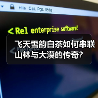 飞天雪韵白茶如何串联山林与大漠的传奇？（图3）