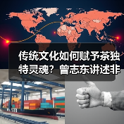 传统文化如何赋予茶独特灵魂？曾志东讲述非遗黄茶传承（图3）