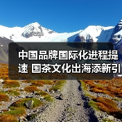 中国品牌国际化进程提速 国茶文化出海添新引擎(图3) 中国品牌国际化进程提速 国茶文化出海添新引擎(图3)